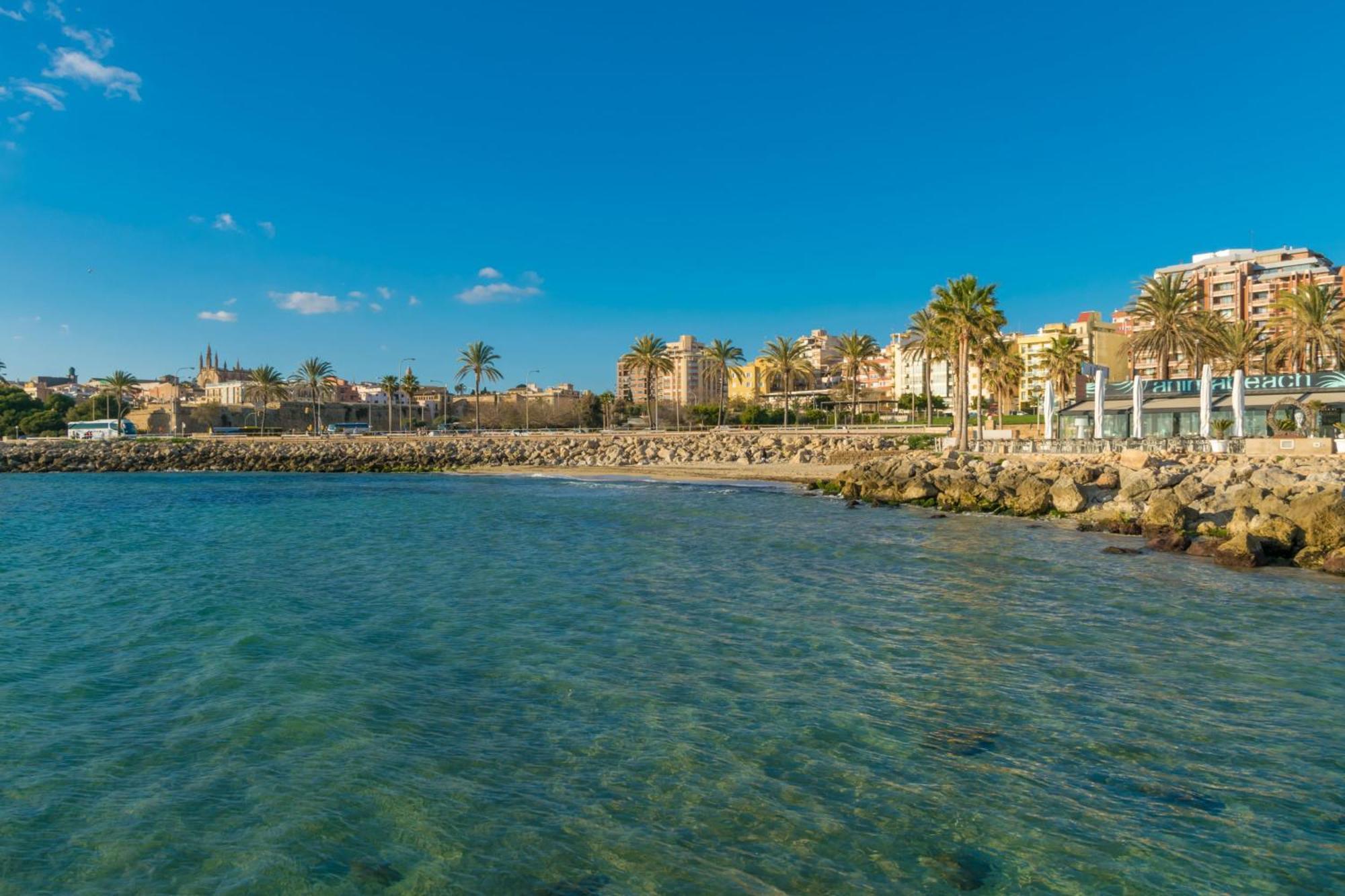 Villa Teulera Palma de Mallorca Ngoại thất bức ảnh